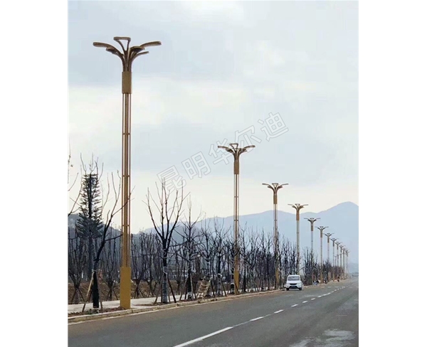 公路景觀(guān)燈