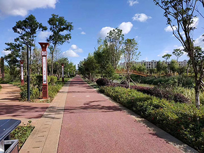 公園太陽(yáng)能路燈